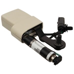 Seat Belt Receptacle Buckle - Right, Rear